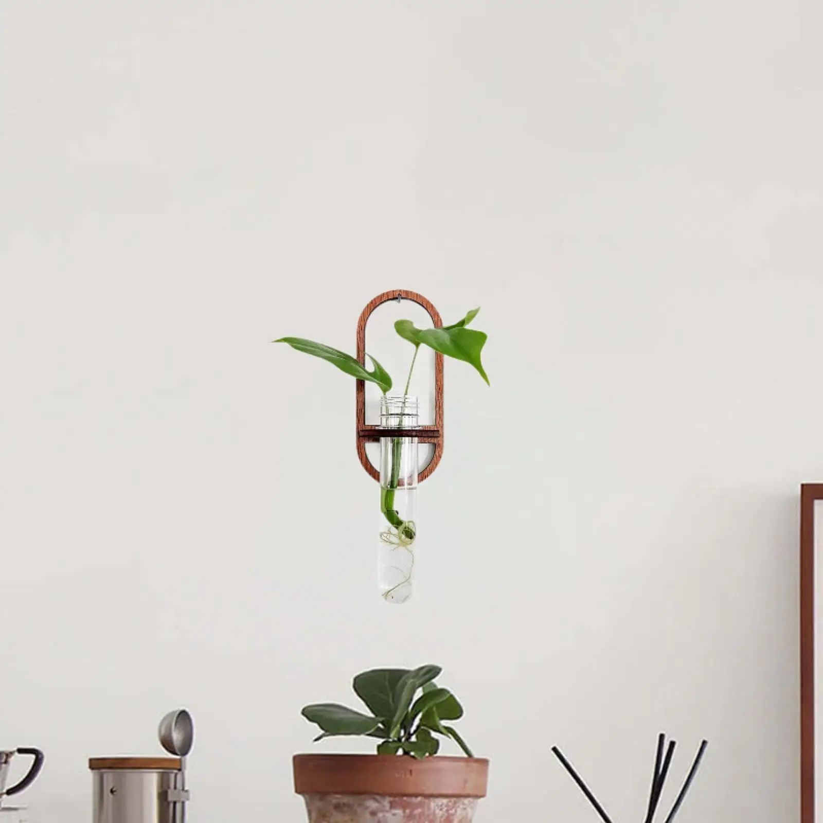 Wooden Wall Hydroponic Vase Plant Propagation Station for Cuttings Test Tube Holder Indoor Balcony Window Shelf Decor