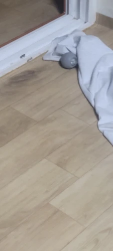 실물 포토 리뷰