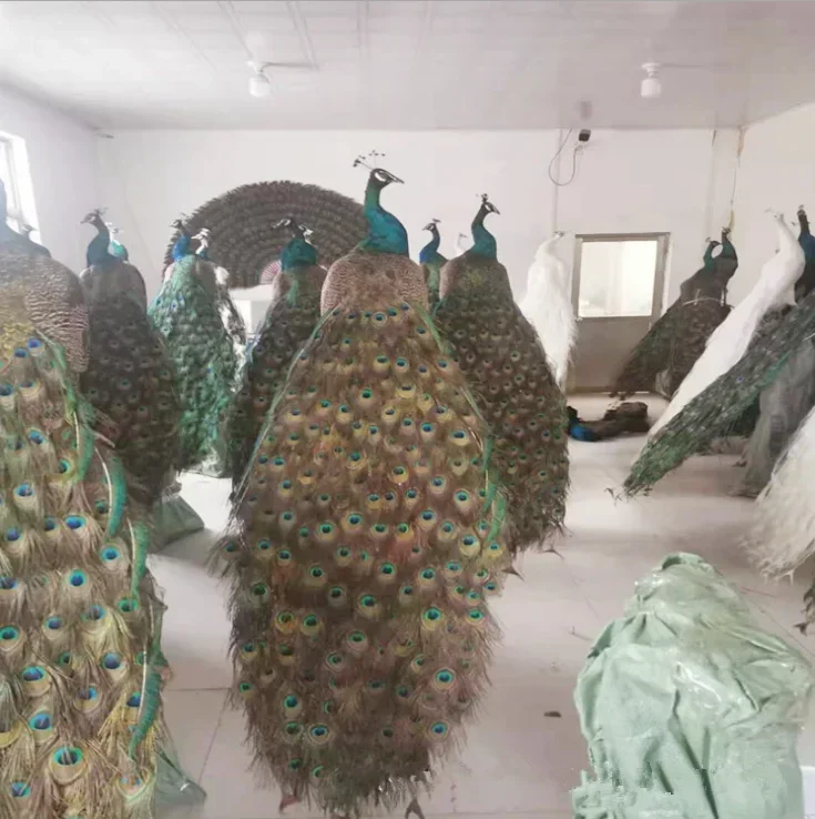 Лидер продаж, ручная работа, индивидуальный размер, настоящее как животное, имитация павлина, свадебное украшение, ремесла, садовая уличная фигурка, павлин
