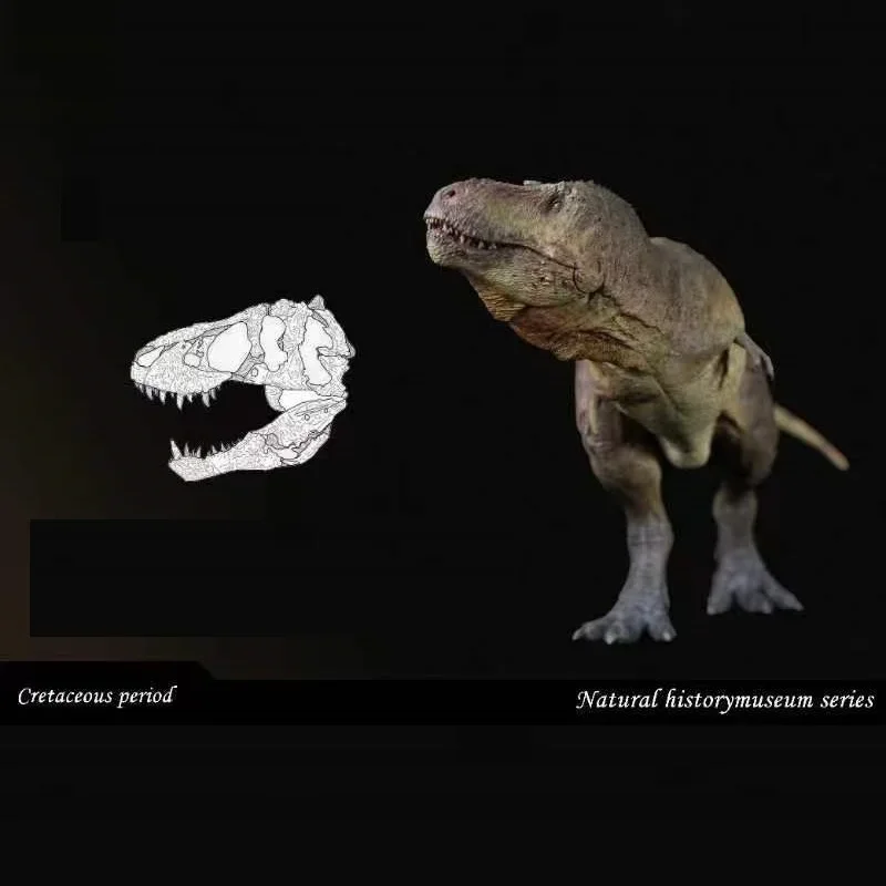 SHOWANNA 1/35 Tiranossauro Rex Scotti Dinossauro Modelo Animal Figura Coleção Decoração
