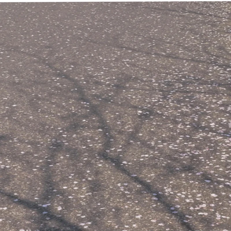 

FLYCOLOR Francy 2 Brushless ESC 20A 30A 40A 50A BLHELI-32 Dshot High Performance MCU 5V/3A 12V/2A BEC Adjustable For RC Airplane