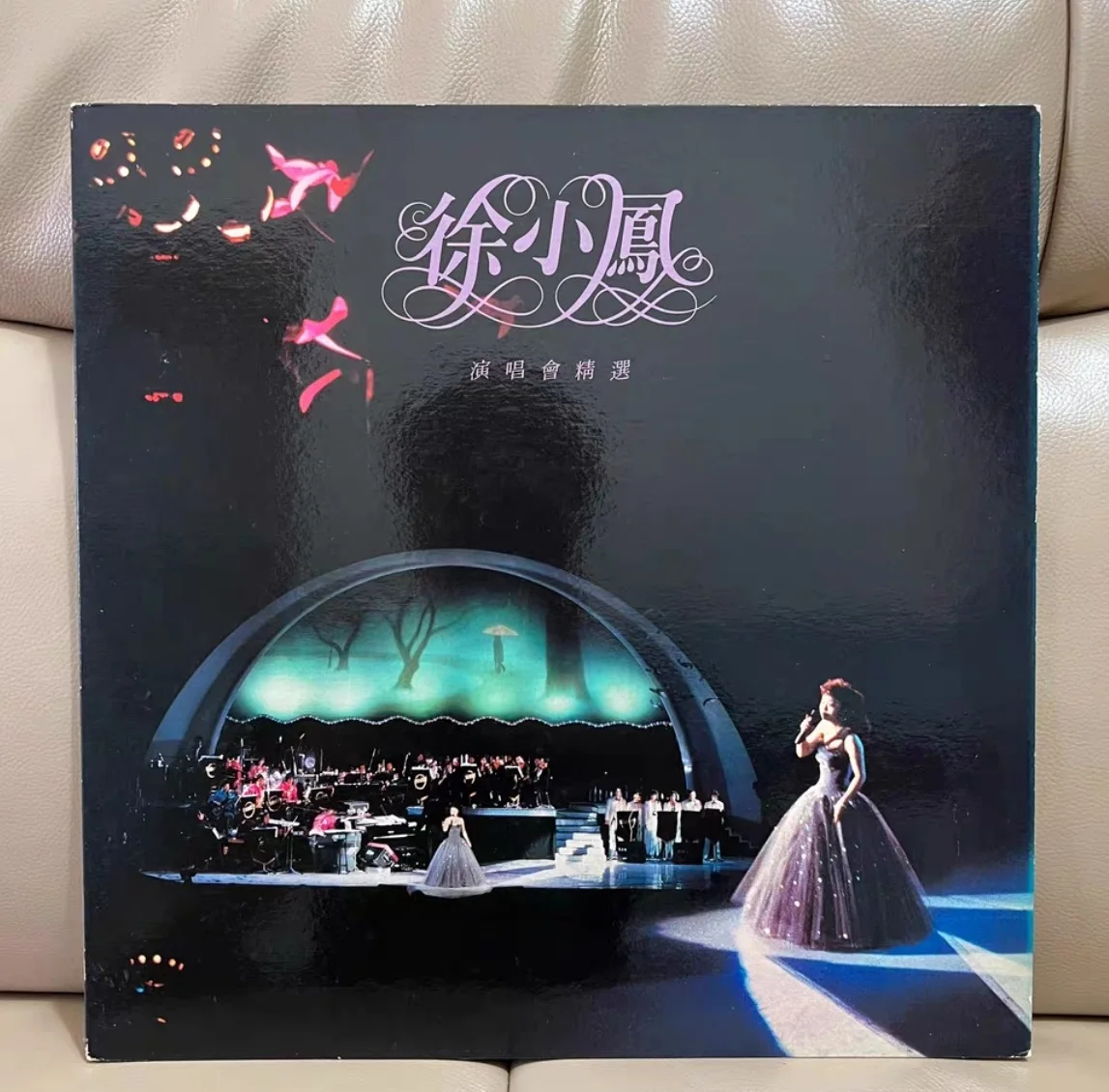 Old 33 RPM 12 inch 30cm 1 Vinyl Records LP Disc Collection Asia China Pop Music Cantonese Female Singer Paula Tsui Classic Song