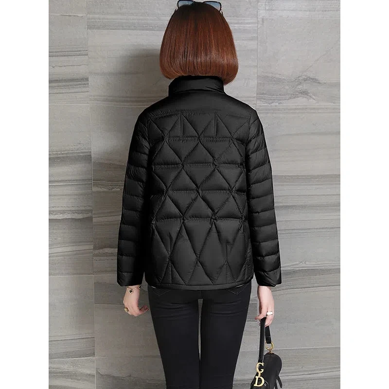 Katoenen donsjas dames 2024 lente herfst nieuwe Koreaanse mode lichte slanke gewatteerde jas vrouwelijke grote maat korte parka\'s