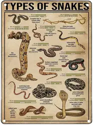 Snakes Knowledge Metal Tin Sign Type Of Snakes Retro Printing Poster School Zoo Cafe Bar Bedroom Bathroom Kitchen Home Art Wall