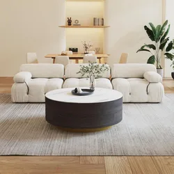 Round Coffee Table2 Drawers, Sintered Stone Tabletop and Golden Base, Center Table Living Room, Fully Assembled, EndTable 33.4