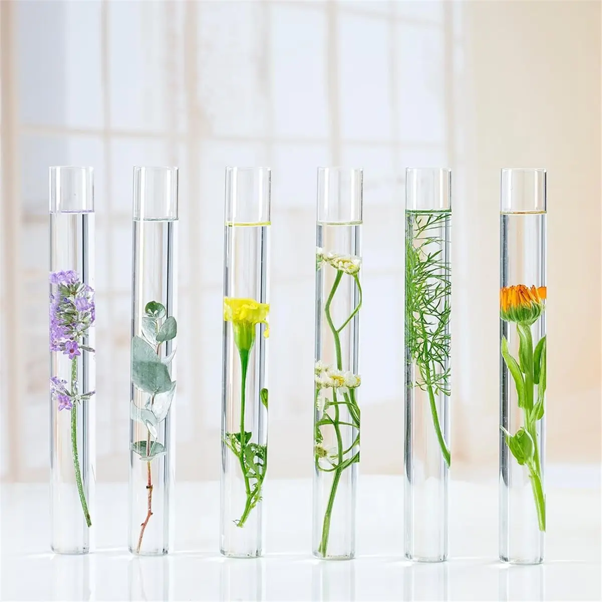 Budget-Friendly-120Pcs Plastic Test Tubes with Rack Set 16 X 100mm Test Tube with Caps and 60 Holes Tubes Rack for Scientific Ex