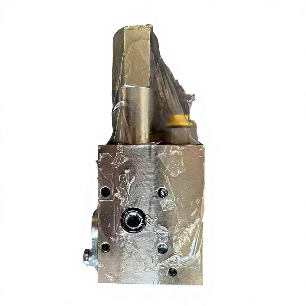 Check Valve for Concrete Pump Truck, Hydraulic Components for Concrete Pump Truck Accessories