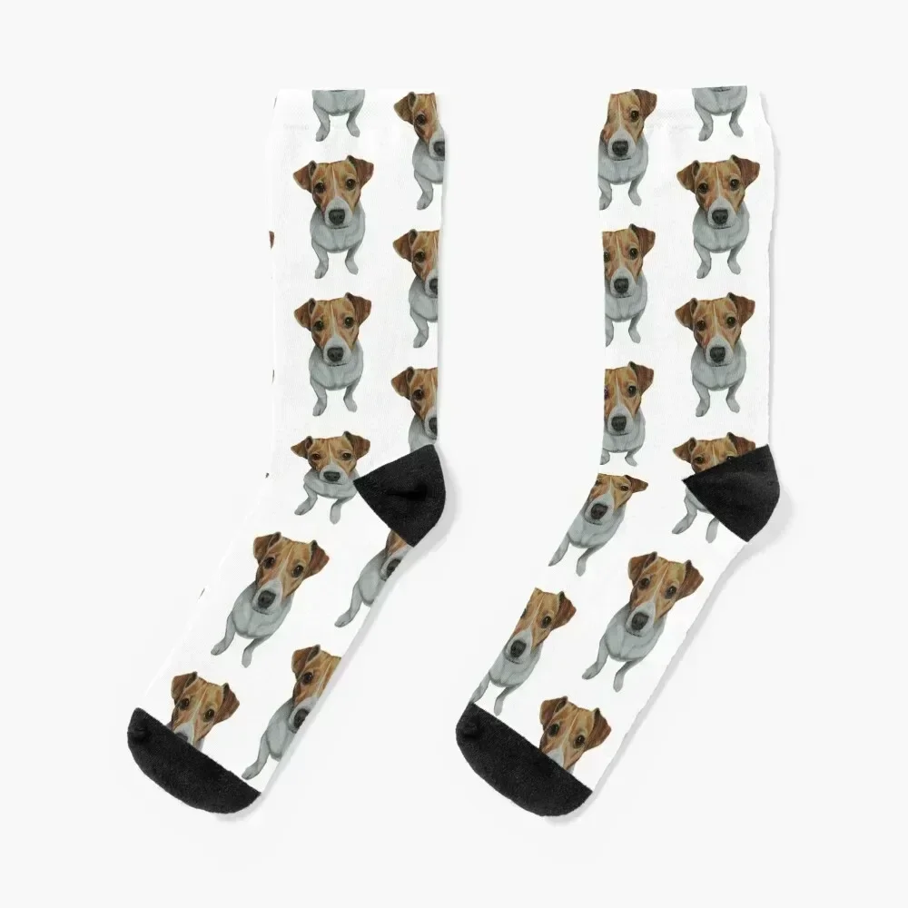 Sky the Jack Russell Terrier Socks sheer Stockings Woman Socks Men's