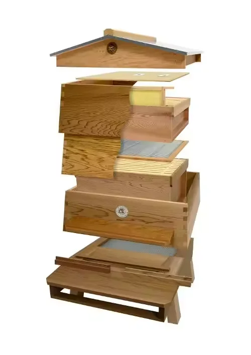 Beekeeping Equipment WBC Beehive From Multi-sweet Bee Hive Factory