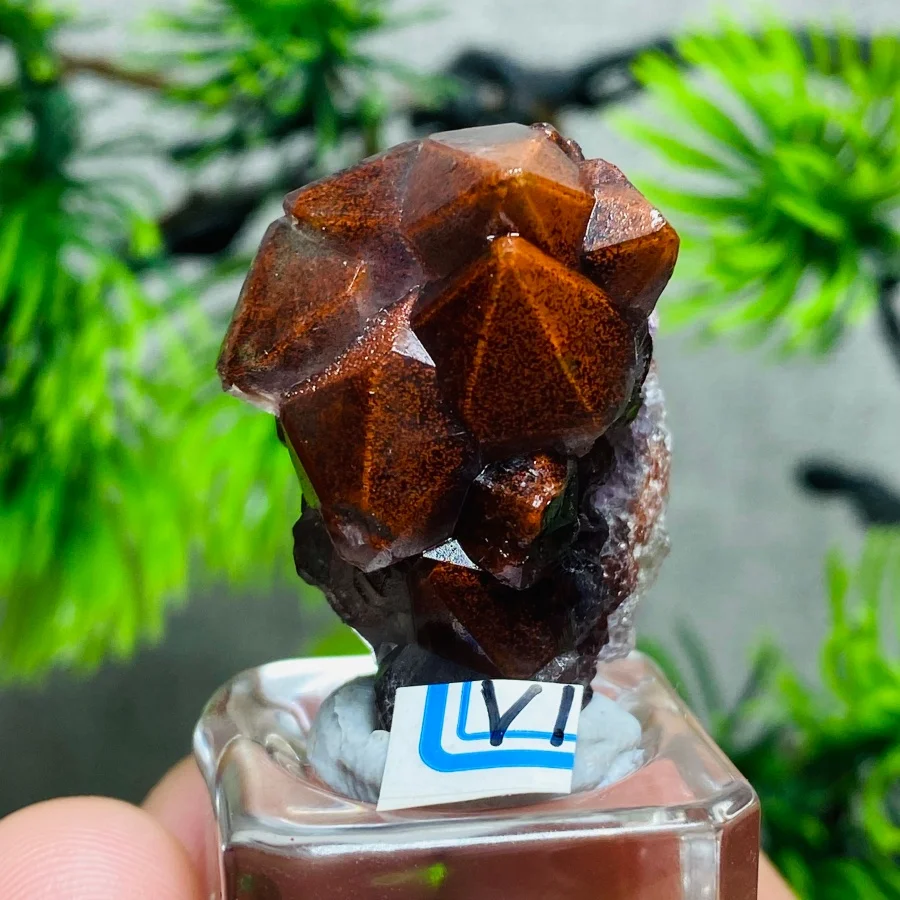 Natural Red Gum Flower Amethyst Cluster Mineral Specimen Energy Stone Crystal Healing For Home Decoration