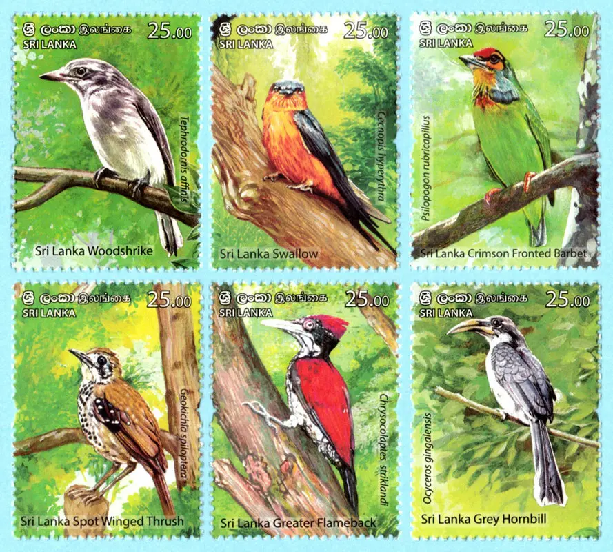 Sri Lanka Post Stamps Postage Y2021 Bird Swallow Woodpecker Grey Hornbill 6 Collectible Postage Stamps Material For Scrapbooking