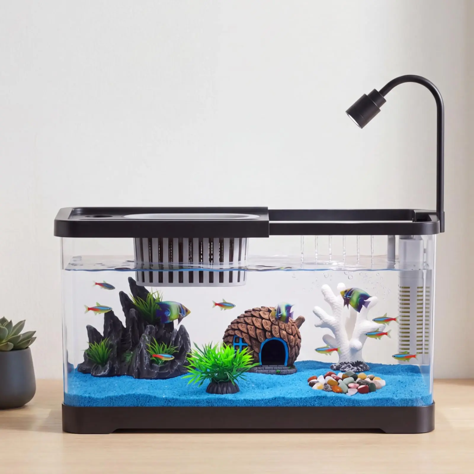 Fish Tank Starter Kit With Filter And Light Plastic Fish Tank For Goldfish Shrimp Betta Hermit Crab