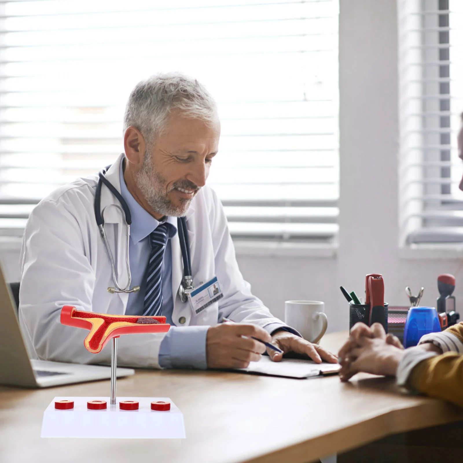 Vascular Model Cardiovascular Display Teaching Human Atherosclerosis Whole Body Blood Vessel Anatomical Pvc Medical Show