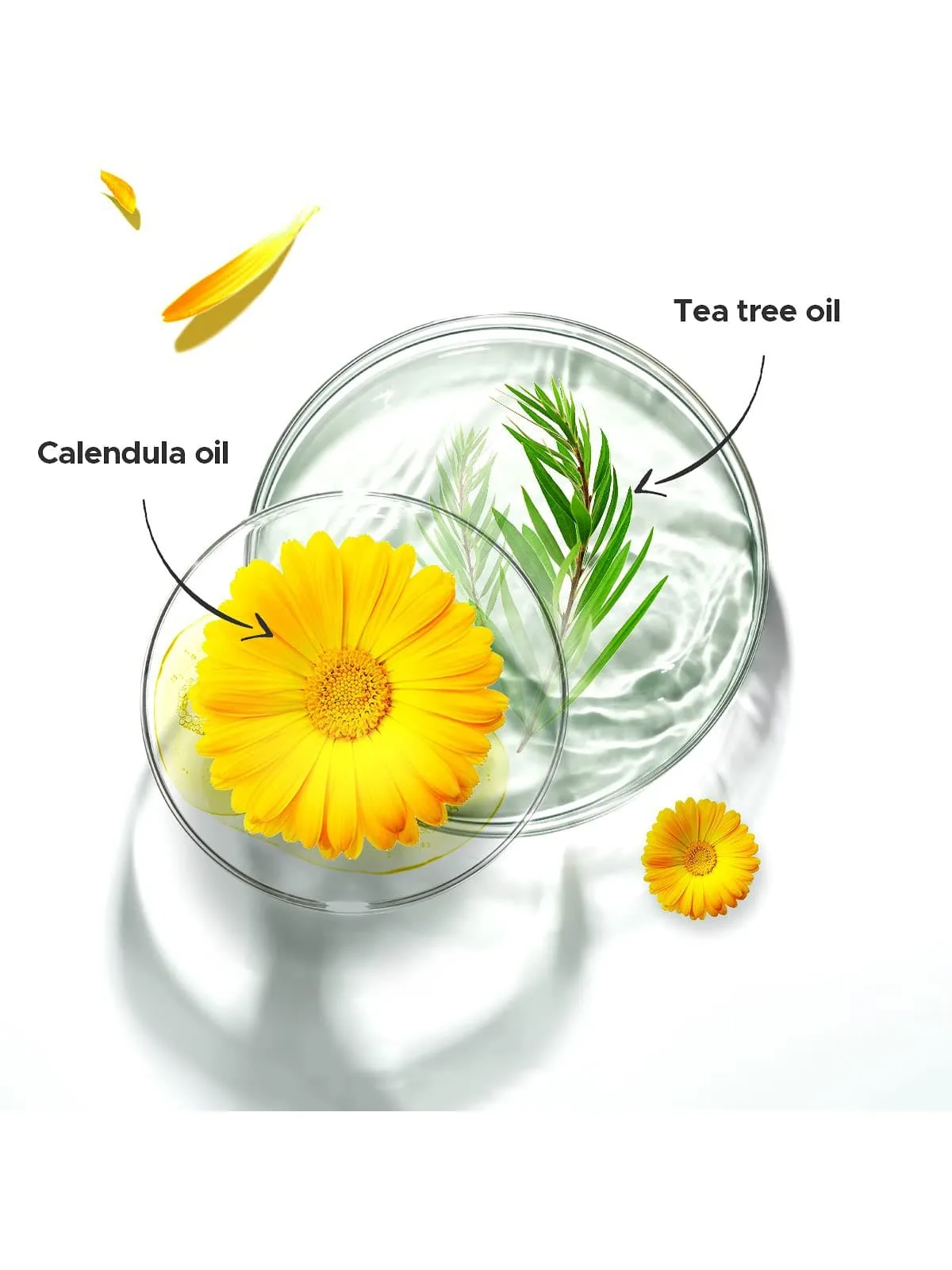 Cute star design hydrocolloid acne patch, light breathable concealer, mild and non irritating acne solution image 6