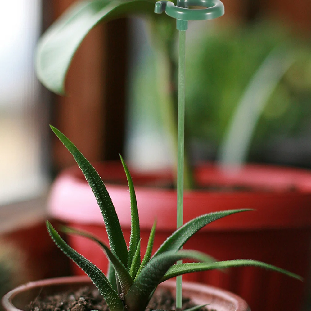 

12Pcs Garden Plant Support Stakes Plastic Single Stem Orchid Ring Holders for Potted Plants Flower Plant Stakes