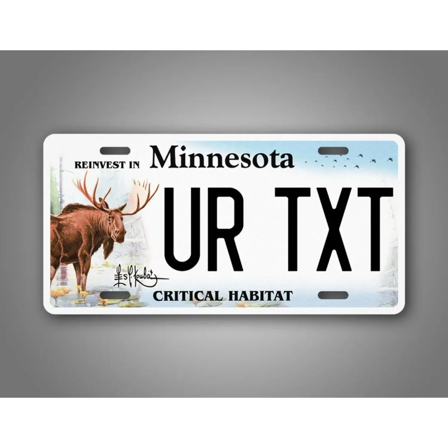 1pc Custom Vintage Minnesota Metal Sign 6x12 Inch Waterproof Personalized Wall Decor Home Bar Man Cave Art