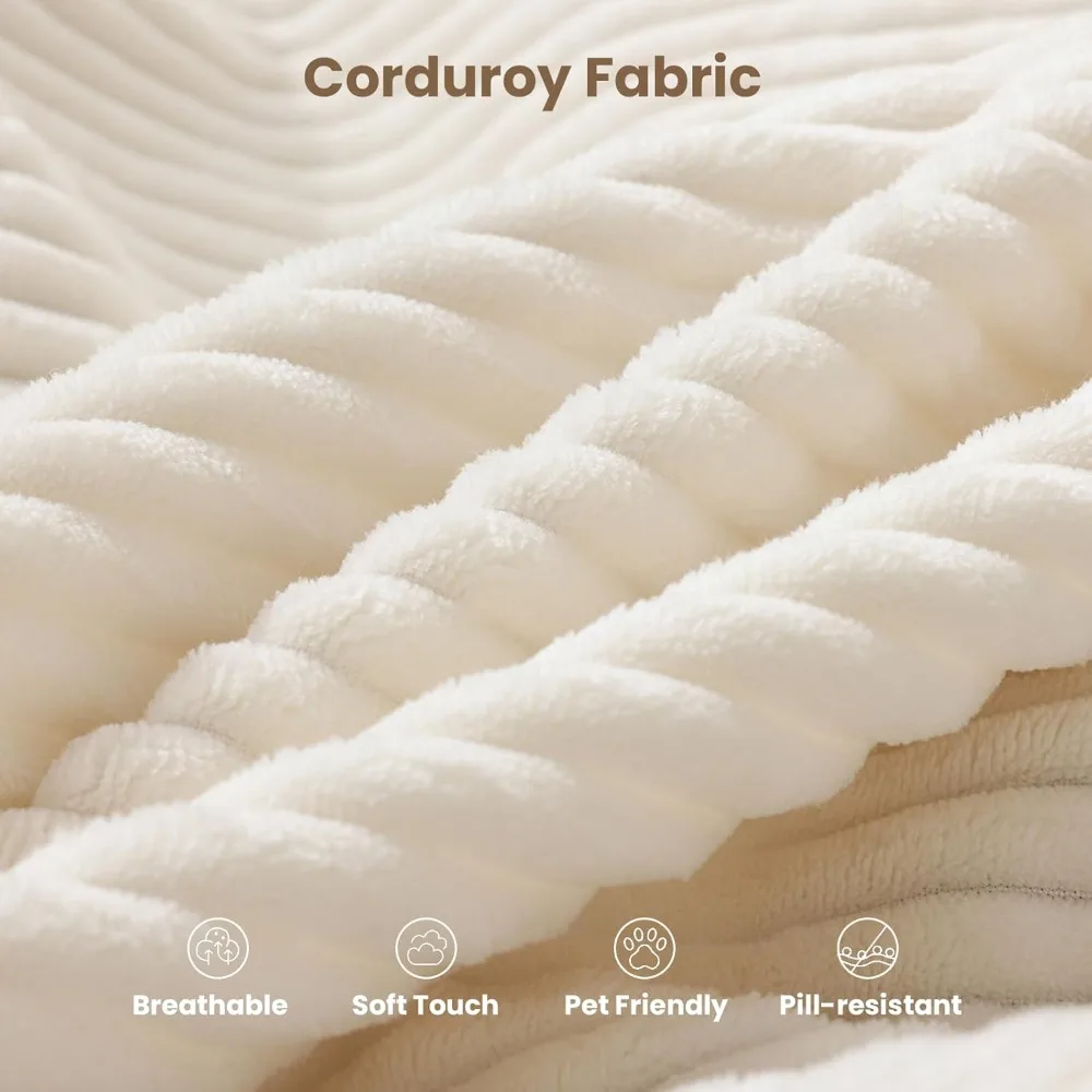 سرير أريكة قابل للطي، كرسي نوم قابل للتحويل مع مرتبة قابلة للطي وسادة، 2 في 1 أريكة قابلة للسحب كرسي محمول قابل للطي ب