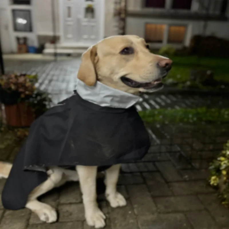 في الهواء الطلق الحيوانات الأليفة مقاوم للماء عاكس قابل للتعديل الكلب معطف واق من المطر كيب لابرادور الذهبي المسترد فصيل كورجي الكلب الملابس #2