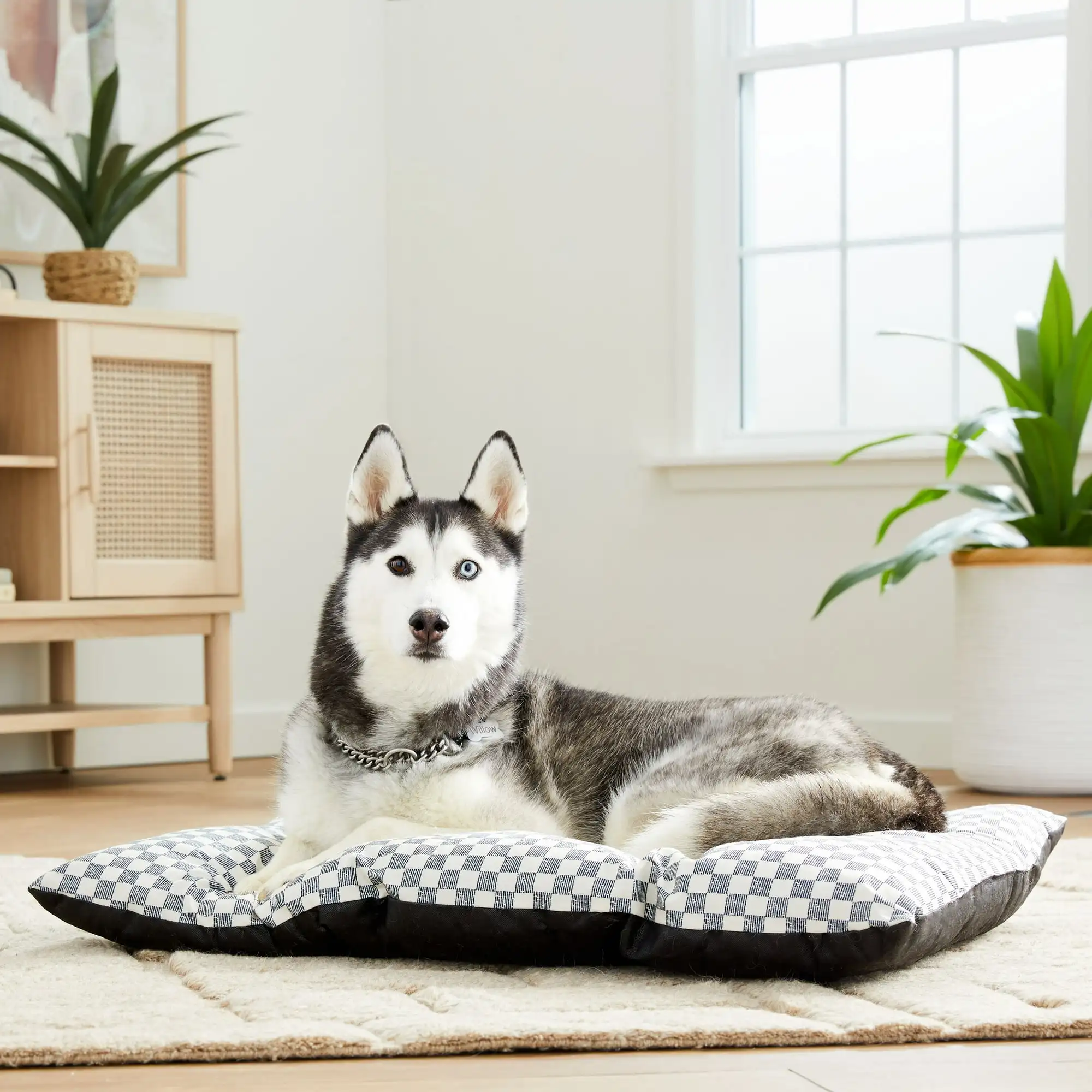 

Tufted Pillow Pet Bed, Black and White Check, 1 Count