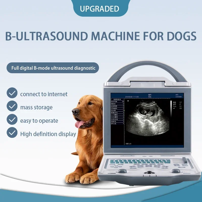 B-Ultrasound Scanner Machine Ultrasound Machine Animal&veterinary Portable Ultrasound Machine