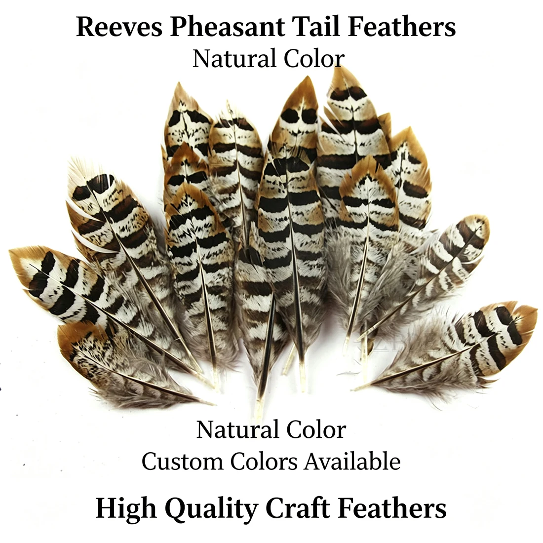 ZPDECOR Feathers Reeves Pheasant Feathers Size 10-15cm/4-6 Inch for Crafts DIY Art Home Decor