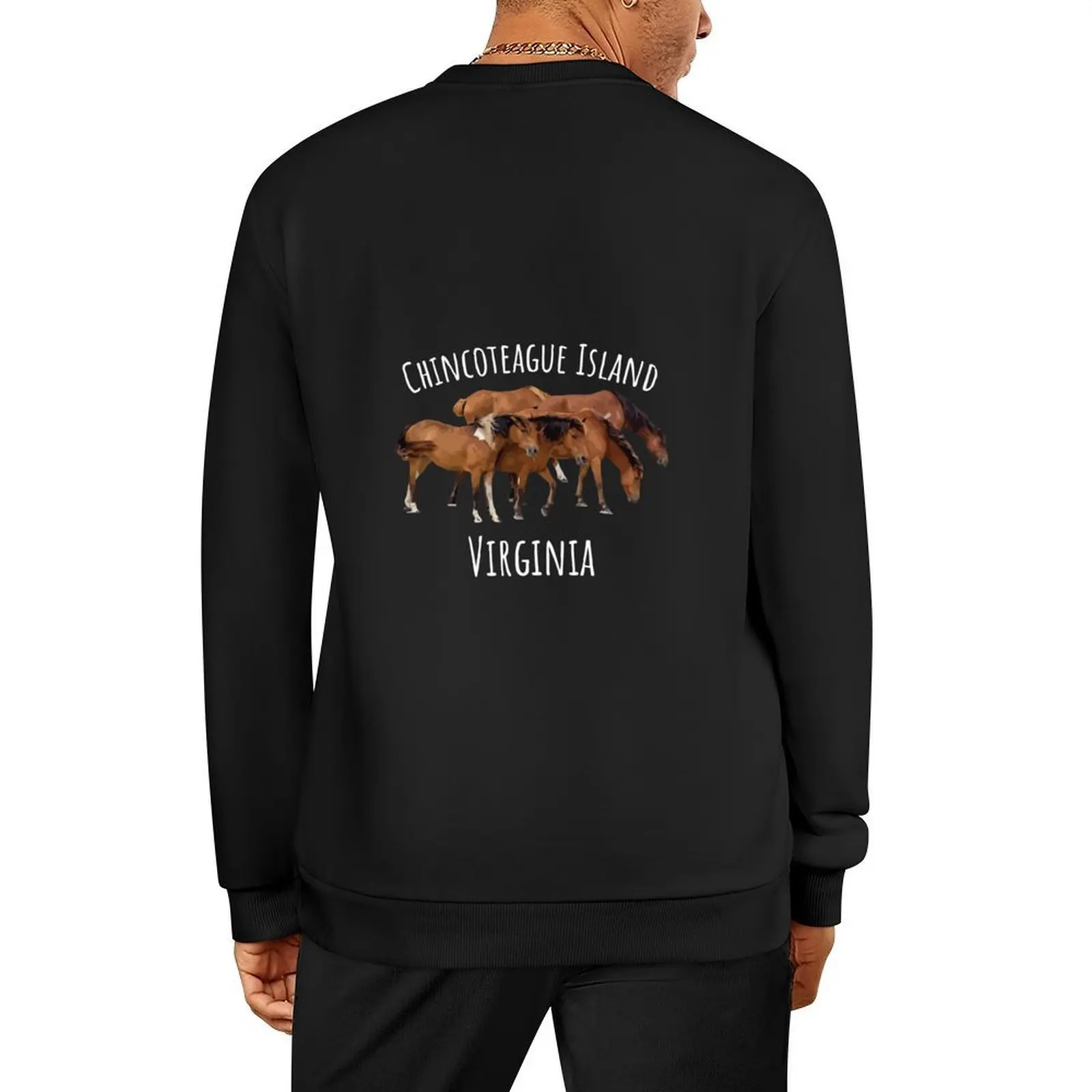 

Chincoteague Island Virginia Horse Assateague Pony Pullover clothes for men aesthetic clothing autumn new products hoody