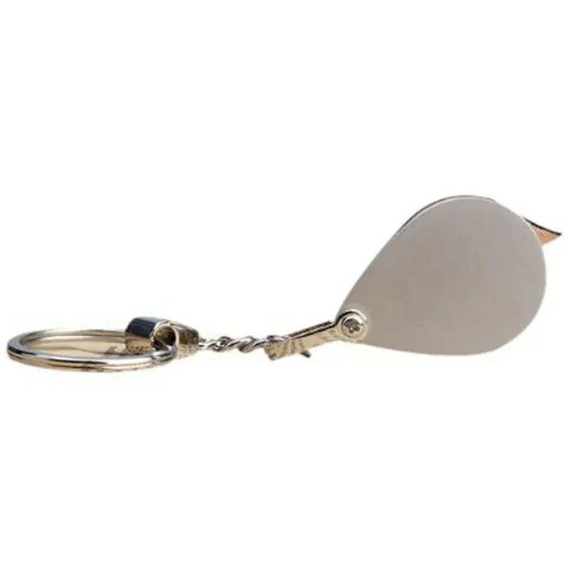 Classic-3Pcs 30Mm 3X Pocket Folding Magnifier Reading Magnifying Glass Loupe With Key Chain Silver