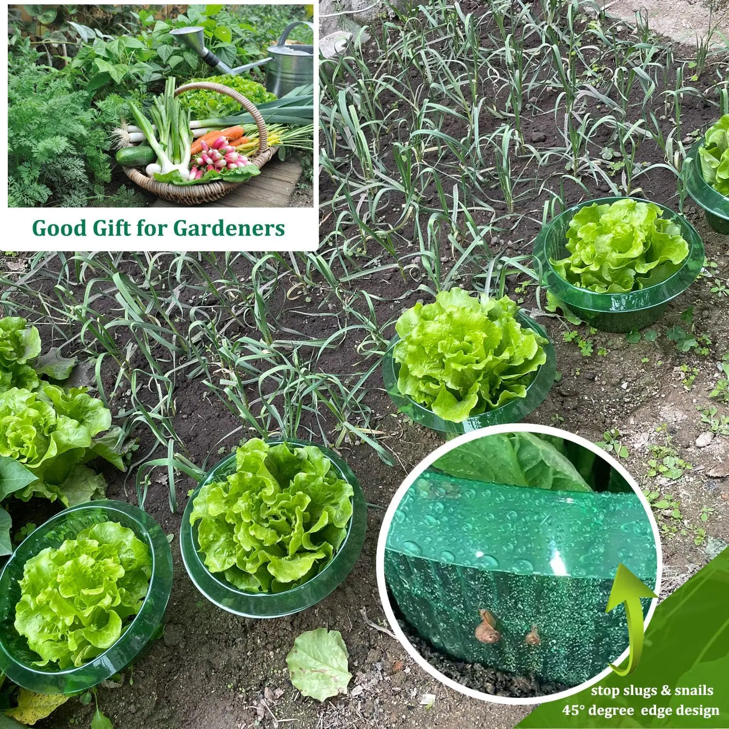 5/10/20pcs Slug Collars Plastic Clear Garden Cloches Plant Protection Defense Without Chemistry Protects Plants To Get Better