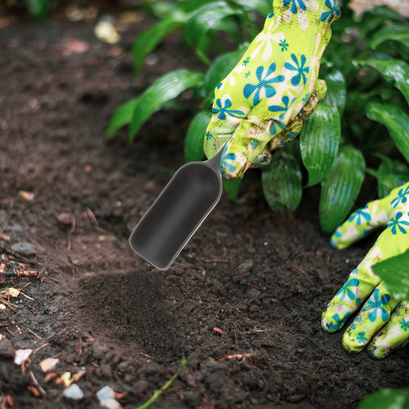 

2 Sets Gardening Tool Kit Succulent Shovel Spade Soil Scoop Cleaning Brush Black No Rust Durable Easy Storage Planting Potted