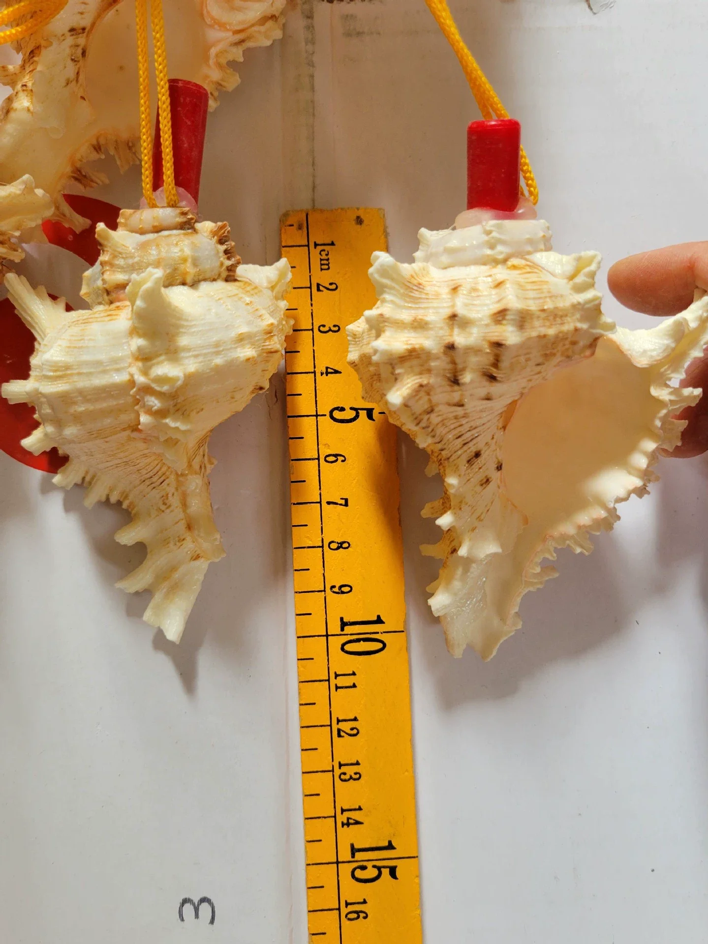 

Natural Conch 9-10Cm Portable Musical Instrument Unique Sound For Outdoor Leisure Music Performance Shell Horn Beach Wedding