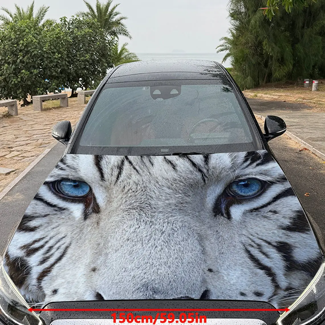 Car Decals A White Tiger Boasting Piercing Blue Eyes And Captivating Contrast In A Bold, Close - Up Depiction Car Hood Sticker,