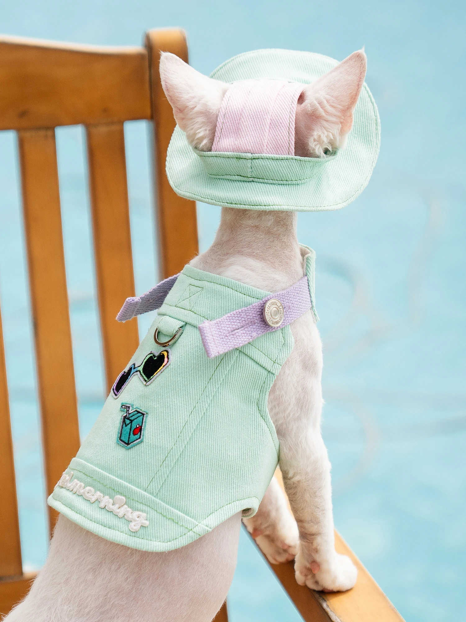 Cute Sphynx Cat Mint Green Harness With Leash Set Outdoor Walking Pet Harnesses Gotas mascotas Accessories katten kleding