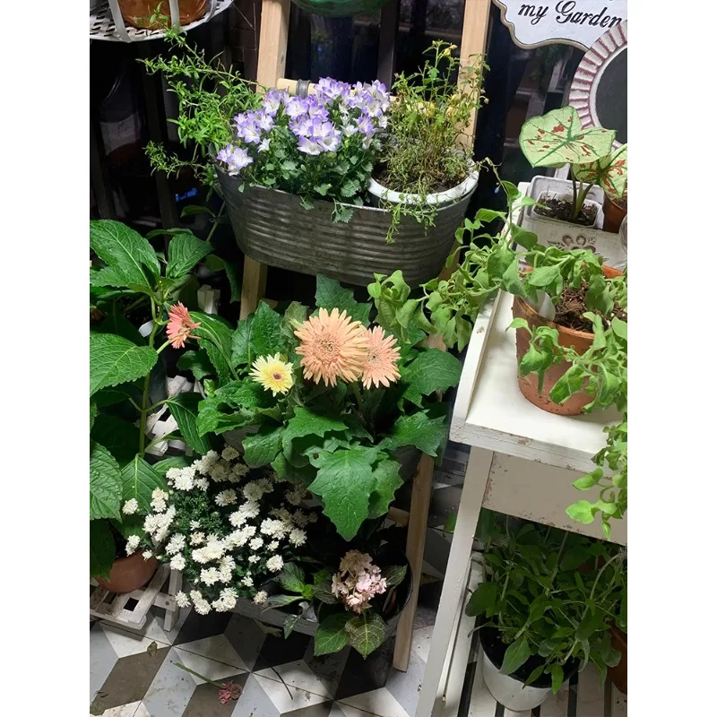 

Indoor furniture old tin flower pot, flower utensil, ladder flower bucket three-piece set, garden and garden groceries