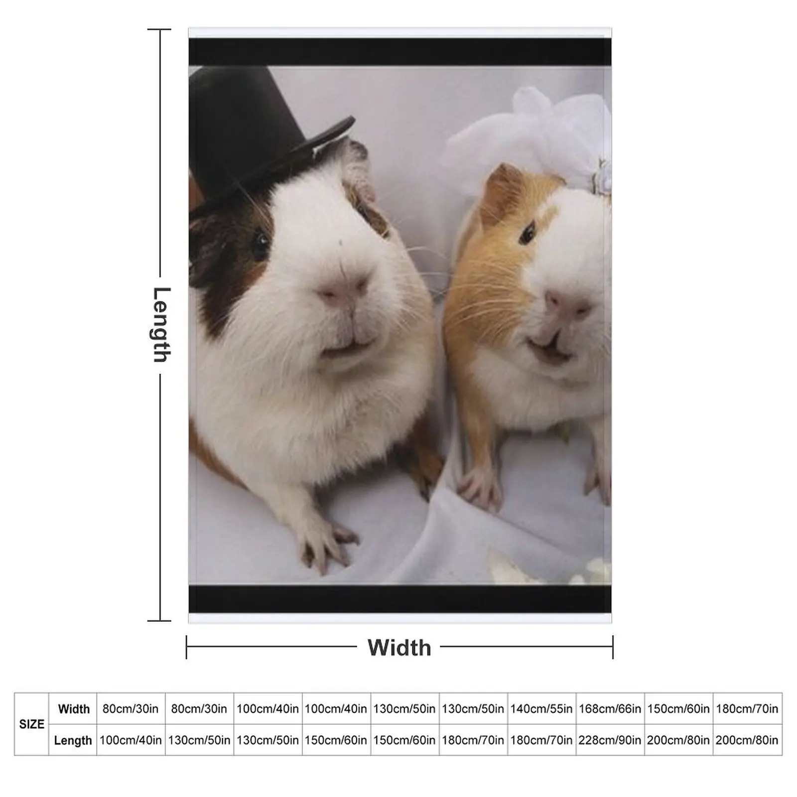Guinea Pig a?? Cavy Collection a?? Model 21 Throw Blanket cosplay anime Luxury Flannel Fabric Luxury Brand Travel Blankets