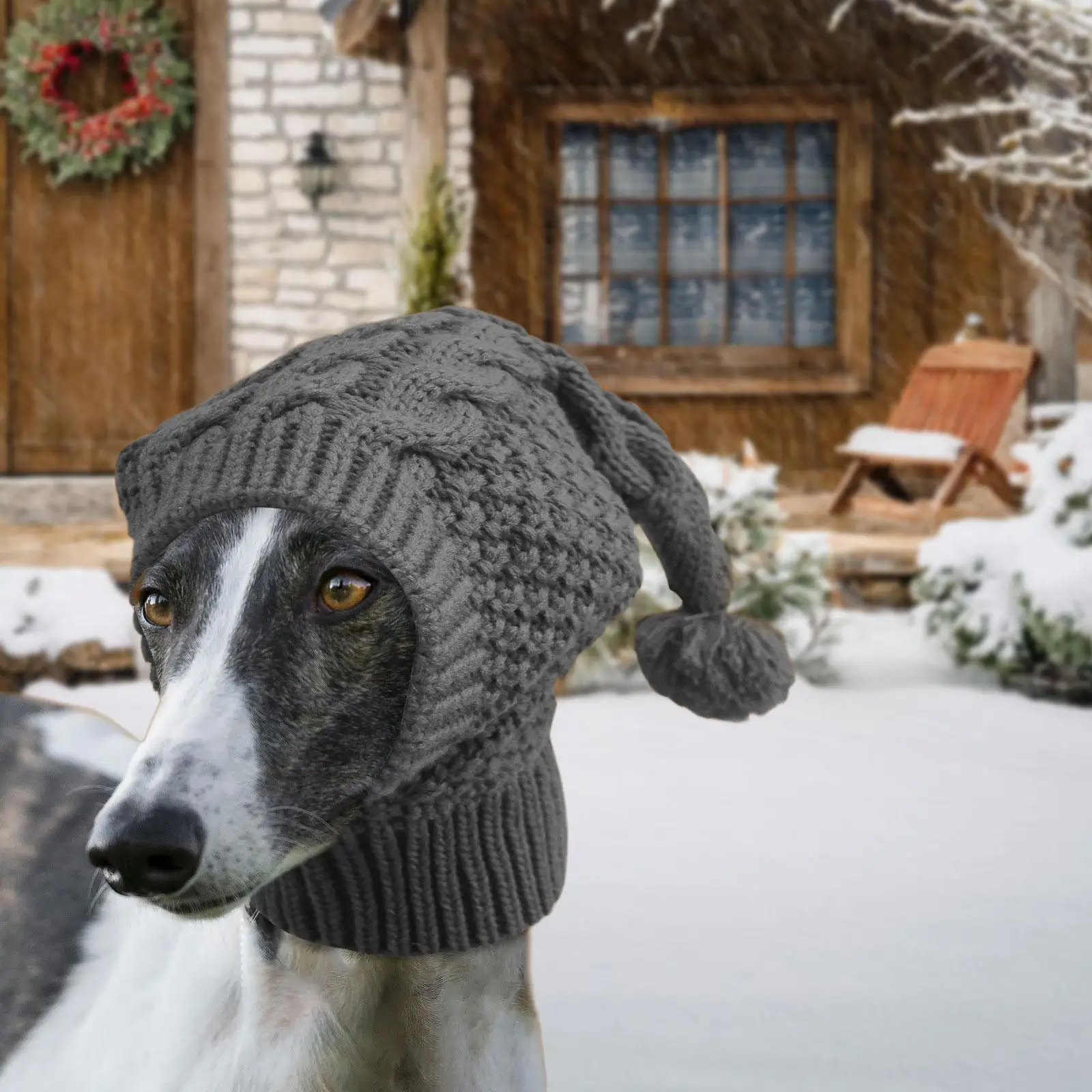 Chapeau tricoté pour petits chiens, cache-oreilles, capuche douce et mignonne, coupe-vent, chapeau d'hiver pour chiens