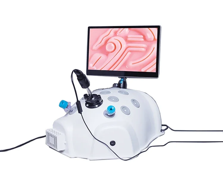 Laparoscopic Simulator /Trainer Box,  Training Box laparoscopy training box  simulator