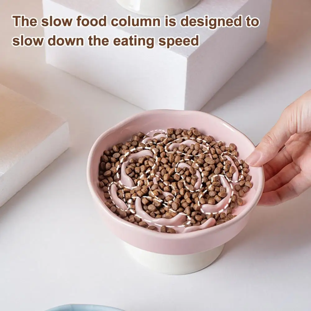 tigela-antiasfixia-para-gatos-tigela-elevada-para-alimentacao-lenta-de-animais-de-estimacao-tigela-de-ceramica-para-comer-com-lenta-velocidade-tigela-antivomito-para-caes-e-gatos-de-pequeno-e-medio-porte