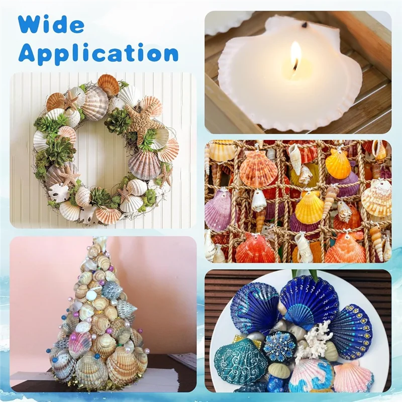 ABVJ-2"-3" Natural Scallop Shells 25 Pieces From Seaside For DIY Craft Painting Ocean Theme Party Wedding Home Decoration