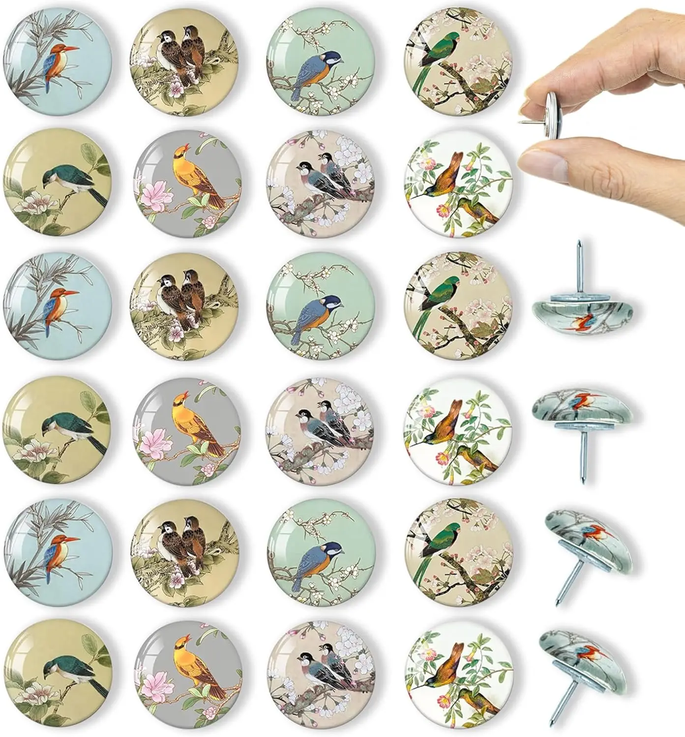 

24 Pcs Bird Decorative Push Pins for Bulletin Board, Cork Board Thumbtacks with Cute Bird Patterns for Office Home Decor