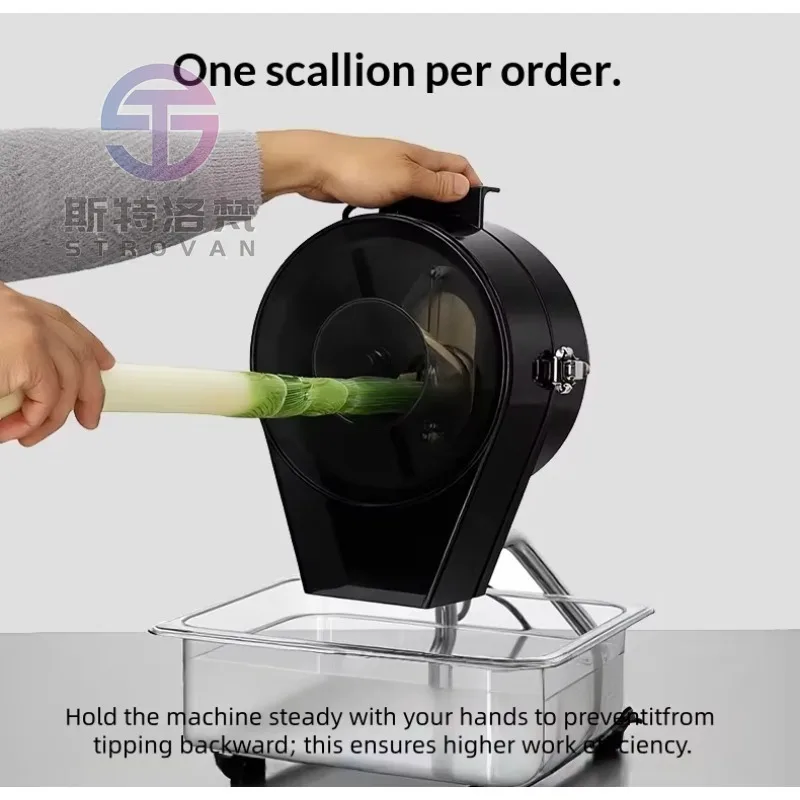 Automatic Commercial Vegetable Slicer 220V for Processing Plants Use Potato Garlic Onion Chili Bean & Celery Slicer