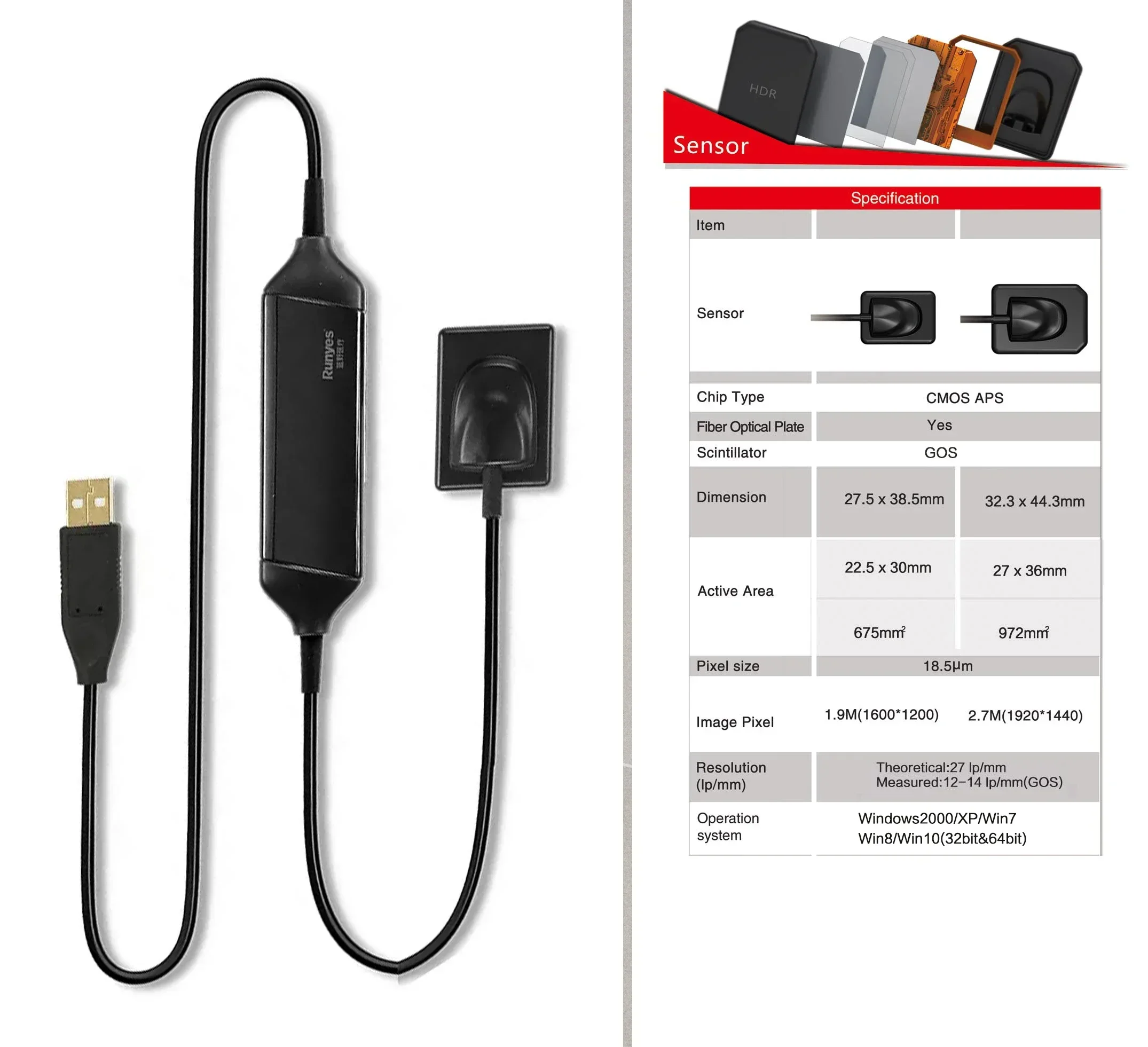 X ray sensor Original Runyes DS730 Digital Xray Sensor Rvg Digital Software Imaging System