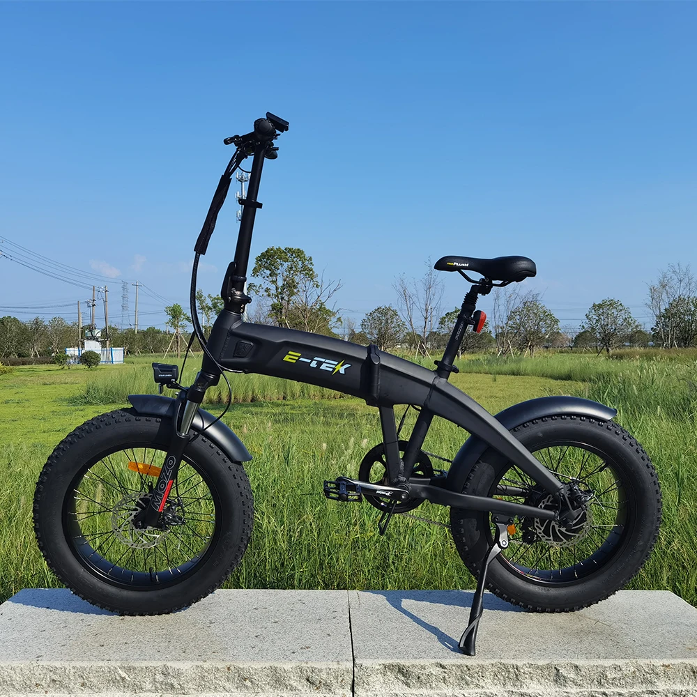 

Adult Electric Fat Bike 20 inch ×4.0 48V 500W Bafang Motor Mechanical Disc Brakes Electric Folding Version