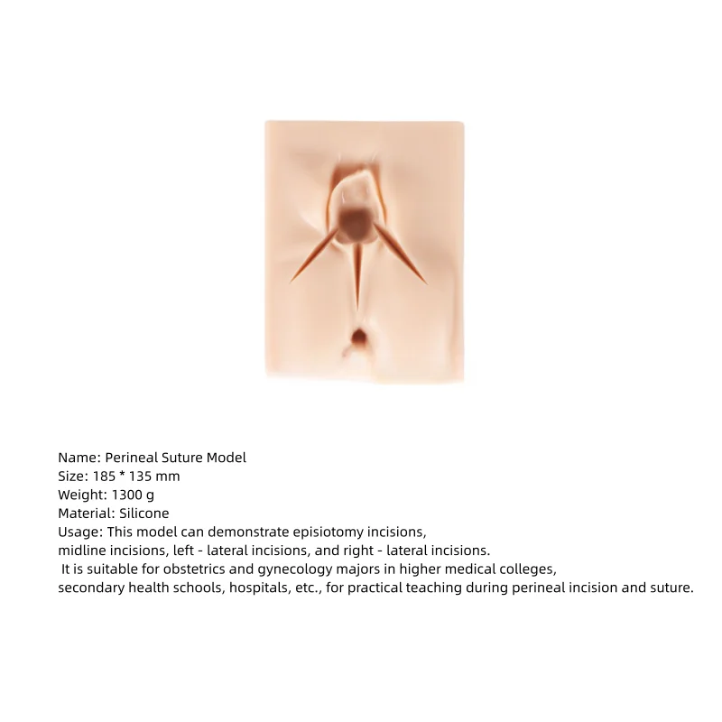 

Уникальный женский репродуктивный семейный манекен из ПВХ для промежности, боковой разрез и вульвар, швов для швов, модель практики