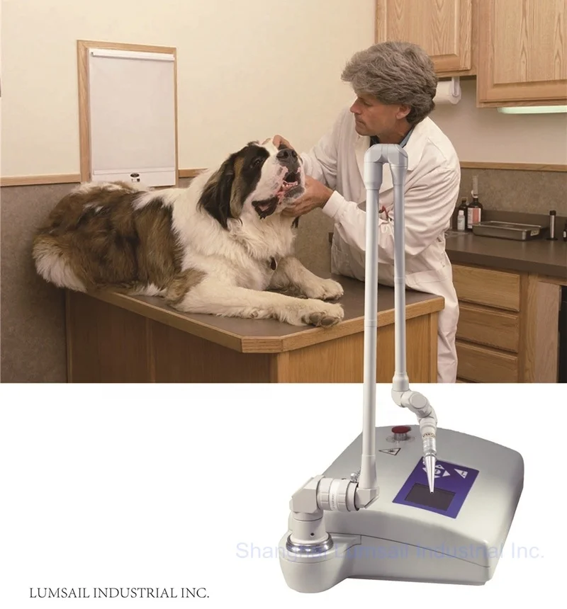 Portable 15W CO2 Surgical Laser Machine Vet Use Laser CO2 Fractional Laser Machine for Veterinary Clinic
