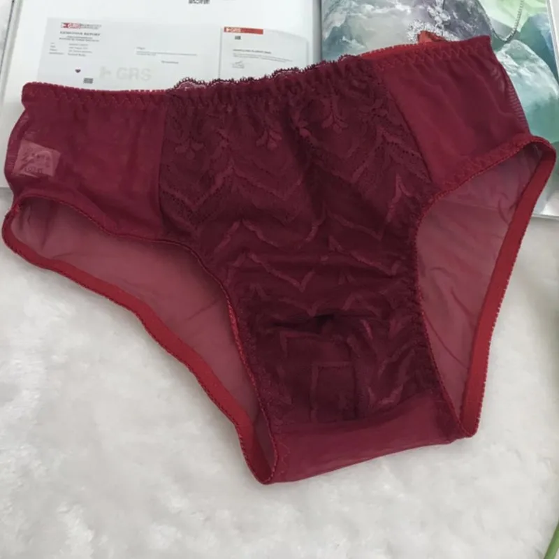 M-4XL Gay Underwear Men Erotic Panties Breathable Lace Briefs See Through Convex Pouch Underwear Sissy Sexy Lingerie