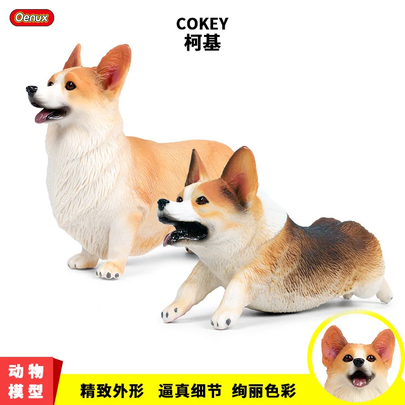 solid simulation wild animal model dog cor-gi pet dog static model animal decoration Children toy