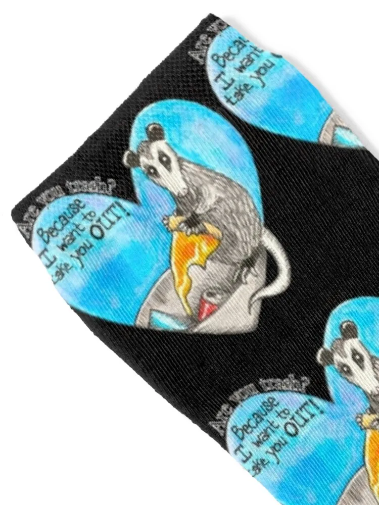 Trashy Opossum Valentine Socks Hiking boots hip hop colored Ladies Socks Men's