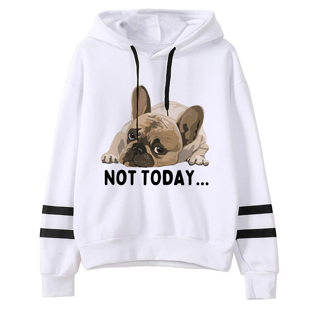 

Pug hoodies women streetwear sweat y2k aesthetic Winter Hooded Shirt pulls women gothic Pullover