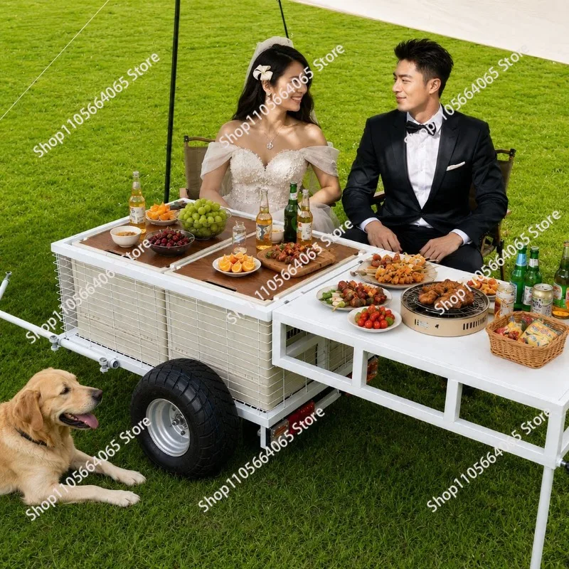 Electric vehicle, bicycle, motorcycle trailer, camping, pet handling, consignment, side hanging, small pulling cart rear hanging