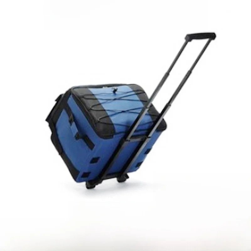 sac-isotherme-moderne-et-minimaliste-en-tissu-oxford-avec-feuille-d'aluminium-pour-livraison-exterieure-preservation-de-la-fraicheur-avec-poignee-telescopique